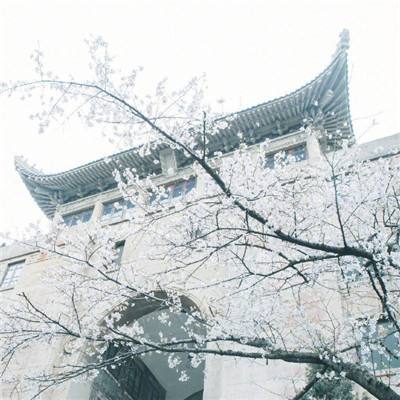 今日辟谣：郑州地标建筑“大玉米”楼被大风刮歪？